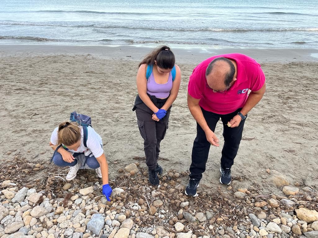 Excursión mediambiental en la playa

