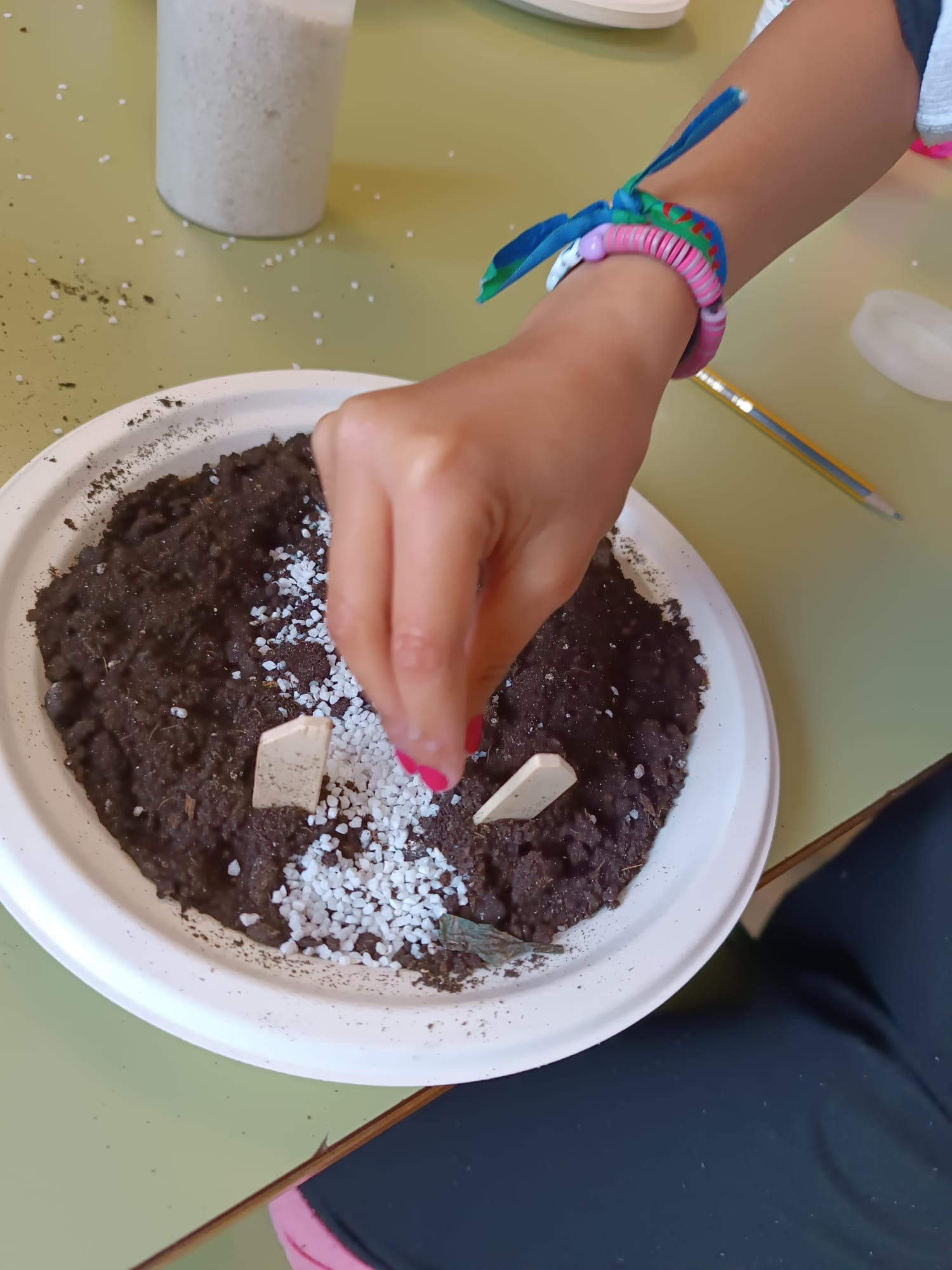  Talleres por el día de la Tierra y Asamblea con Primaria. 